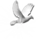 Holy Spirit Dove you are welcome in this place